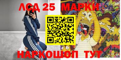 гашик Шахты