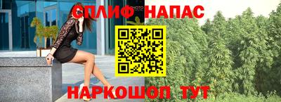 гашик Шахты