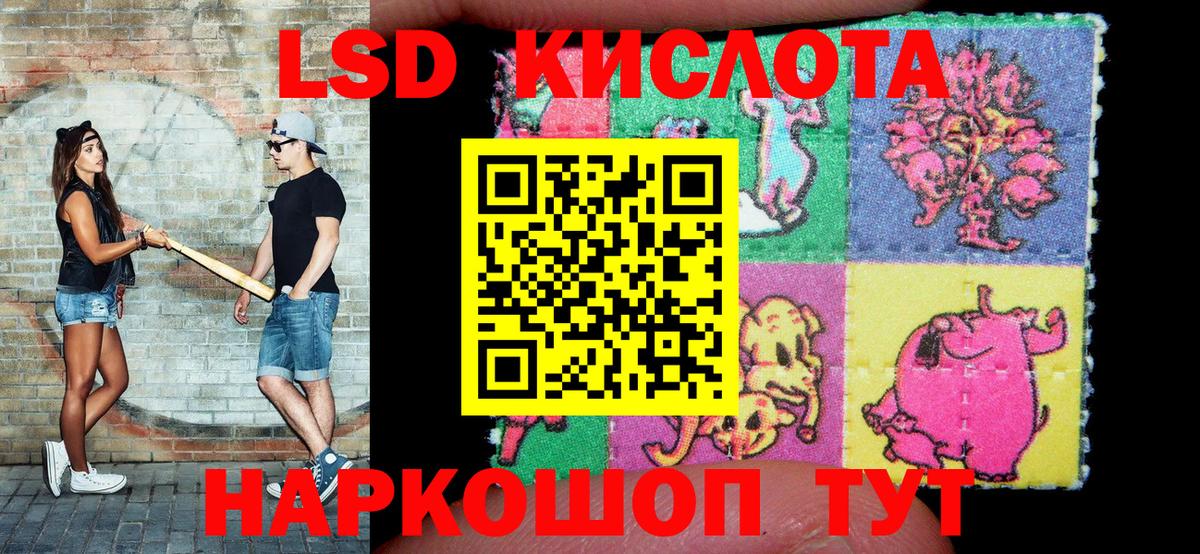 Наркотические марки 1,5мг  купить наркотики сайты  Марки N-bome  Электрогорск  Вход с VPN  Наркотические марки 1,5мг 