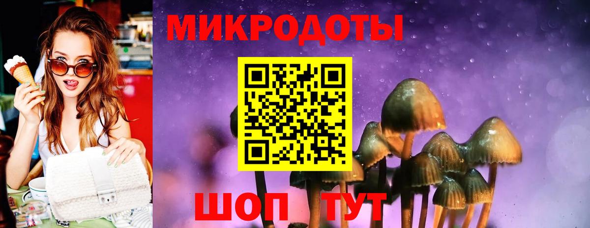 Галлюциногенные грибы MAGIC MUSHROOMS Электрогорск